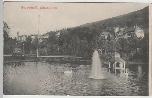 (75160) AK Herrenalb, Schwanensee, vor 1920