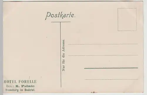 (75053) AK Treseburg im Harz, Gesamtansicht vor 1920