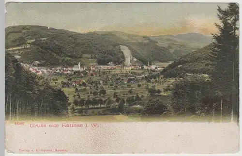 (75046) AK Gruss aus Hausen i.W., Gesamtansicht, 1904