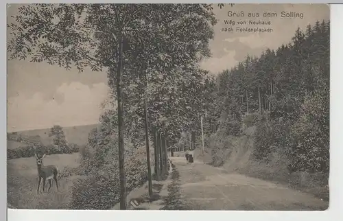 (74924) AK Gruß aus dem Solling, Weg v. Neuhaus n. Fohlenplacken 1911
