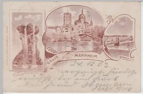 (74816) AK Gruss aus Mannheim, Stadtpark, Sternwarte, Neckarbrücke 1902