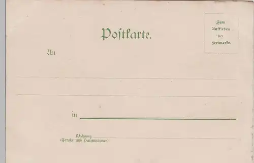 (74700) AK Braunschweig, Löwensäule auf dem Burgplatz, bis 1905