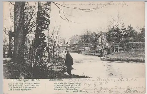(74621) AK Lüneburger Heide, Allerpartie 1905