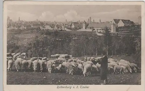 (74559) AK Rothenburg o.d.Tauber, Schäfer mit Herde, Blick a. Stadt, vor 1945