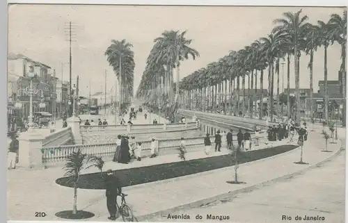 (74458) AK Rio de Janeiro, Avenida do Mangue, 1913