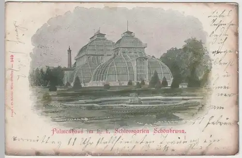 (74451) AK Wien, Palmenhaus im K.k. Schlossgarten Schönbrunn 1901