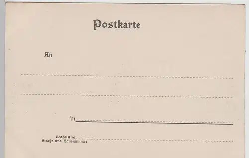 (74436) AK Wien, Rathaus mit den Statuen hist. Persönlichkeiten, bis 1905