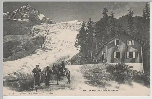 (74363) AK Chalet et Glacier des Bossons, bis 1905