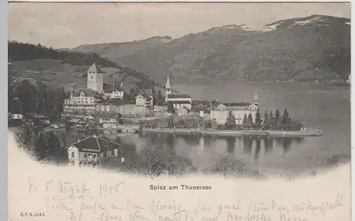 (74355) AK Spiez am Thunersee 1905