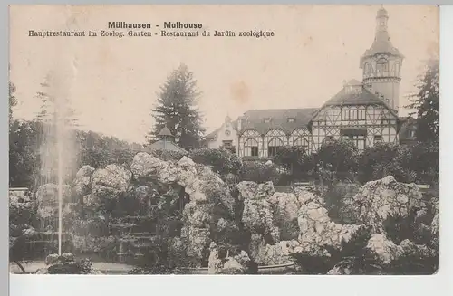 (74324) AK Mülhausen, Mulhouse, Hauptrestaurant im Zoologischen Garten