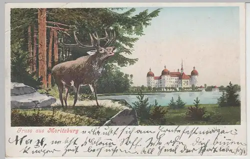 (73482) AK Gruß aus Moritzburg, Jagdschloss Moritzburg 1902