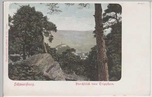 (73443) AK Schwarzburg, Thür. Wald, Blick vom Trippstein, bis um 1905