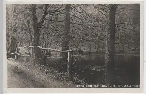 (73414) Foto AK Gernrode, Hagental Teich 1933