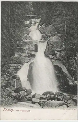 (73281) AK Triberg, Wasserfall, bis 1905