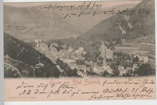 (72404) AK Gruß aus Bad Bertrich, Panorama 1901