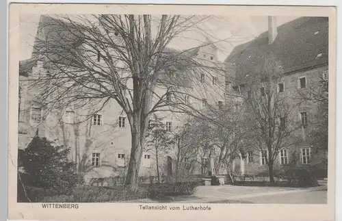 (72339) AK Lutherstadt Wittenberg, Lutherhof, um 1915