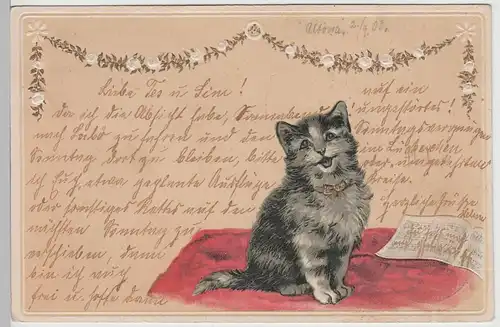 (72177) Künstler AK Singende Katze vor Notenheft, Prägekarte 1903
