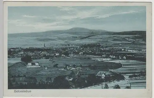 (72027) AK Holzminden, Panorama, vor 1945