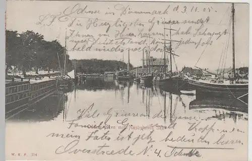 (71379) AK Odense, Havn med Haesbyhoved Skov, 1905