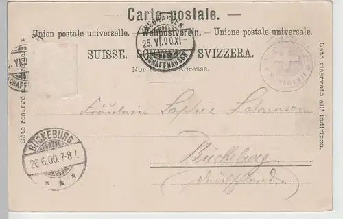 (71360) AK Gruss vom Rheinfall, 1900