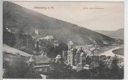 (71112) AK Miltenberg, Blick vom Grauberg, vor 1912