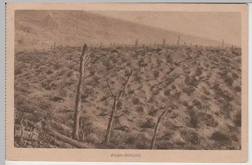 (71017) AK Kriegsschauplatz Albain-Schlucht, aus Kartenheft, Feldpost 1917