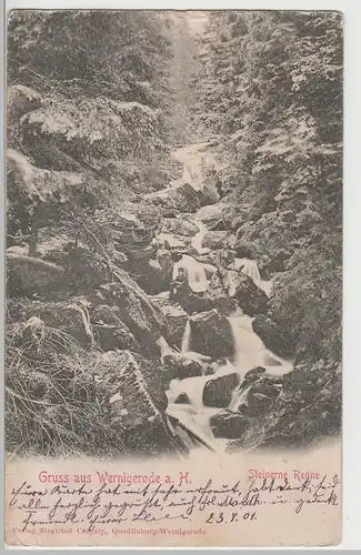 (70504) AK Gruss aus Wernigerode, Steinerne Renne, 1901