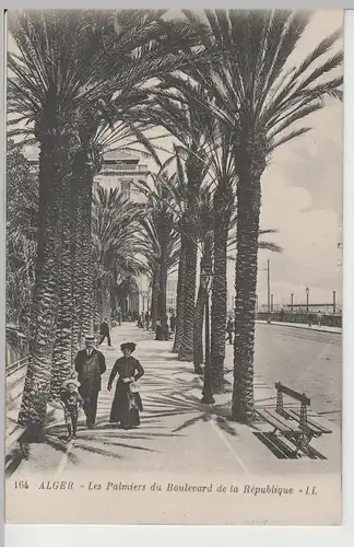 (70128) AK Algier, Palmen am Boulevard de la République, vor 1920