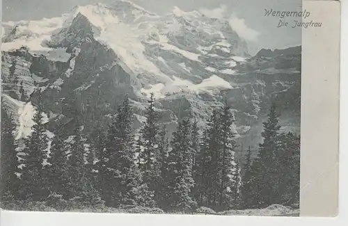 (67732) AK Wengernalp, Jungfrau, bis um 1905