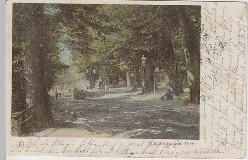 (66385) AK Kiel, Düsternbrooker Allee, 1902