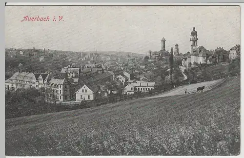 (64850) AK Auerbach, Vogtland, Panorama 1929