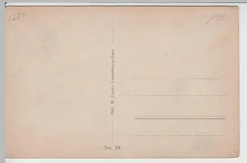 (65398) AK Luxembourg, Luxemburg, Panorama vor 1945