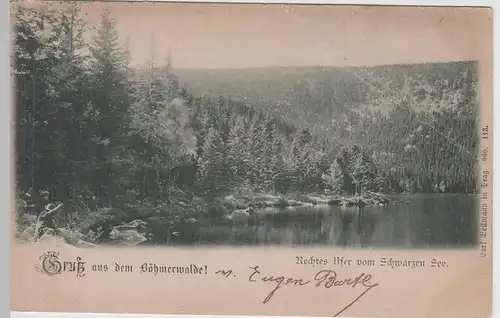 (65333) AK Gruß a. d. Böhmerwalde, Rechtes Ufer v. Schwarzen See vor 1945
