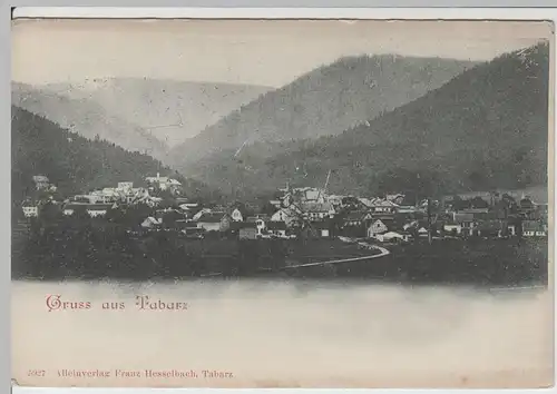 (65309) AK Gruss aus Tabarz, Panorama vor 1905