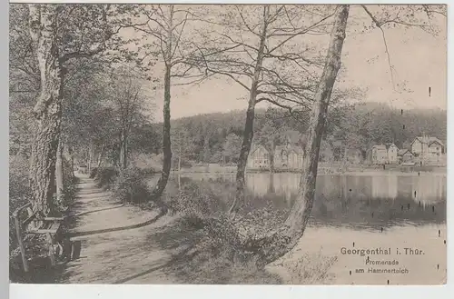 (65305) AK Georgenthal, Promenade am Hammerteich, Feldpost 1914