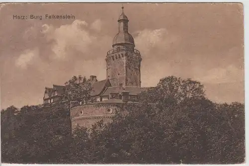 (65290) AK Burg Falkenstein im Selketal, Ostharz 1931