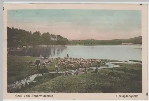 (65253) AK Gruß vom Scharmützelsee, Springseequelle 1930