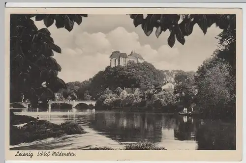 (65168) AK Leisnig, Blick zum Schloss Mildenstein, 1937