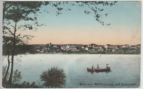 (65101) AK Grünheide, Blick von Altbuchhorst, Feldpost 1916