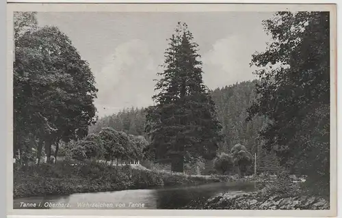 (65047) AK Tanne im Oberharz, Wahrzeichen von Tanne, 1941