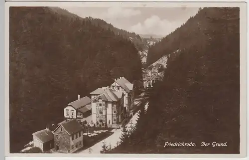 (65004) Foto AK Friedrichroda, Der Grund 1931