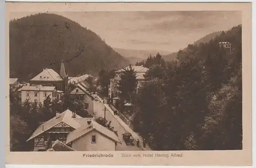 (65002) AK Friedrichroda, Blick vom Hotel Herzog Alfred, 1922