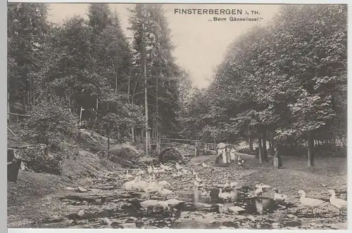 (65001) AK Finsterbergen, Beim Gänseliesel, vor 1945