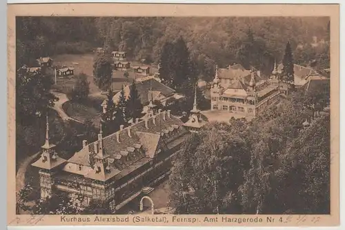 (64988) AK Alexisbad, Harz, Kurhäuser 1927