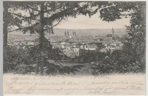 (64976) AK Naumburg, Saale, Panorama mit Dom, St. Wenzel 1905