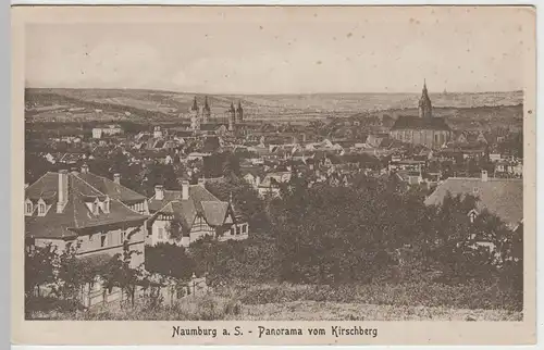 (64973) AK Naumburg, Saale, Panorama mit Dom, St. Wenzel 1919
