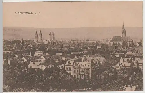 (64970) AK Naumburg, Saale, Panorama mit Dom, St. Wenzel, v. 1945