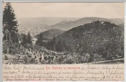 (64904) AK Wernigerode, Harz, Harburg 1903
