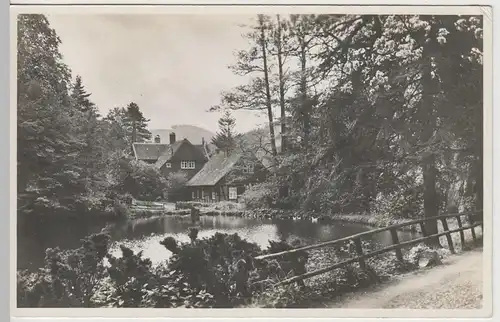 (64894) Foto AK Wernigerode, Harz, Christianental, Forsthaus, vor 1945