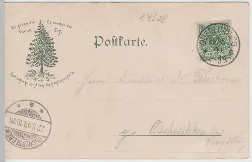 (64885) AK Gruß v. d. Roßtrappe, Harz, Schurre, Blick Laviereshöhe 1899